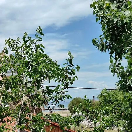 Np * نيوي إيبيفاتاي